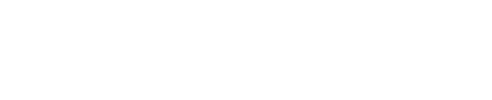 NewFlex Logo